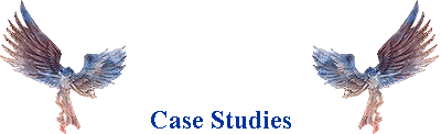 Case Studies
