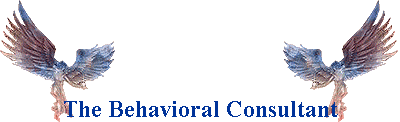 The Behavioral Consultant