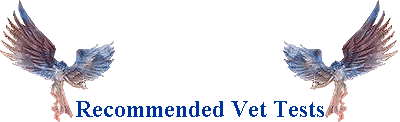 Recommended Vet Tests